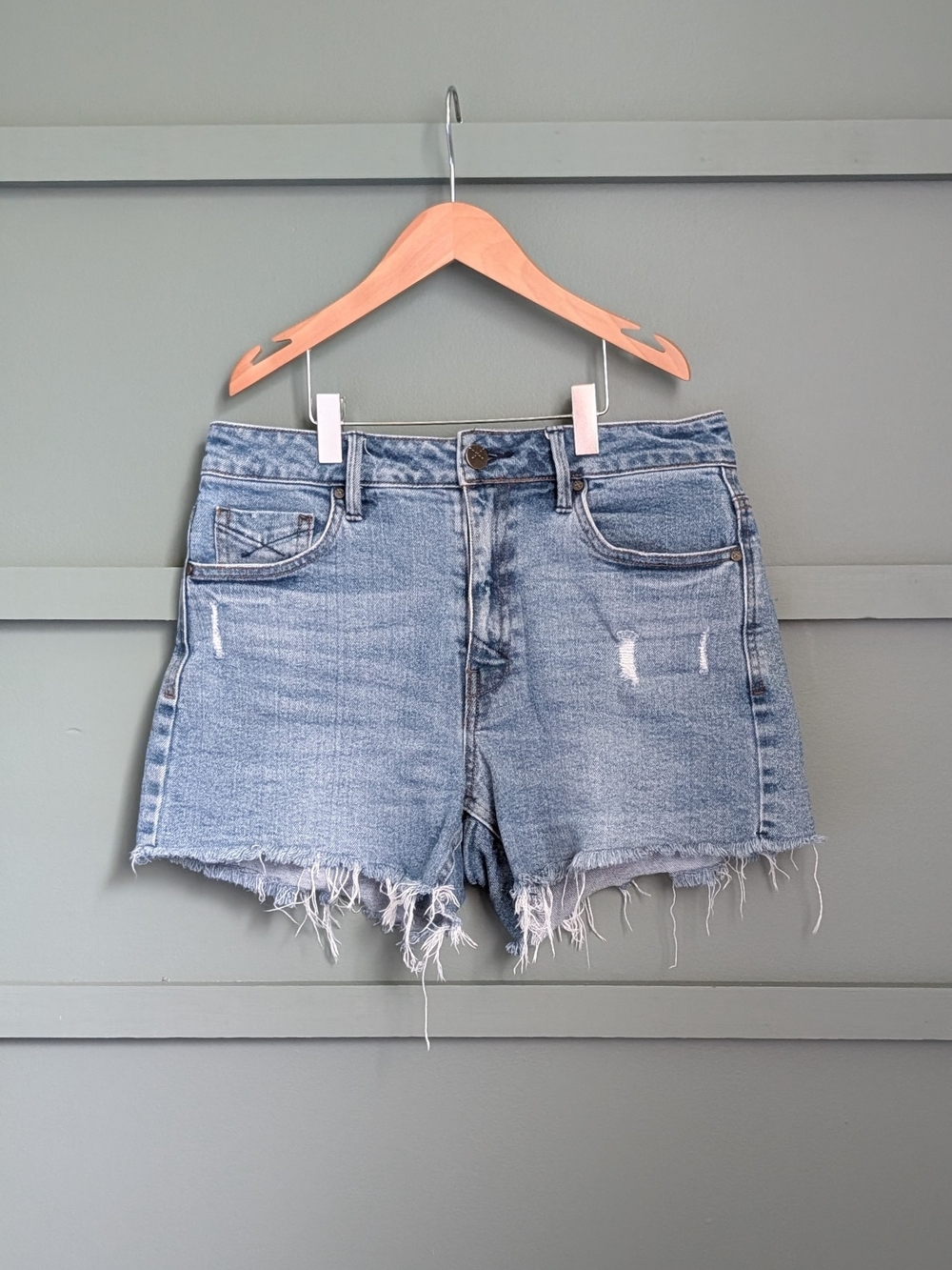 Unpublished Denim Shorts